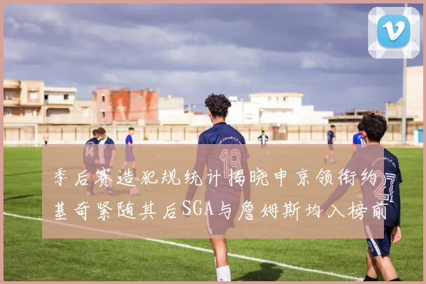 季后赛造犯规统计揭晓申京领衔约基奇紧随其后SGA与詹姆斯均入榜前十