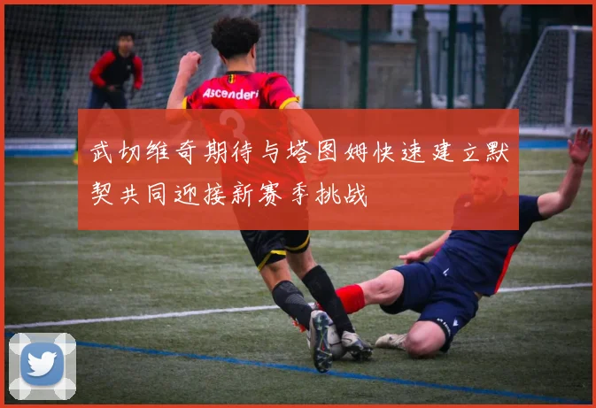 武切维奇期待与塔图姆快速建立默契共同迎接新赛季挑战